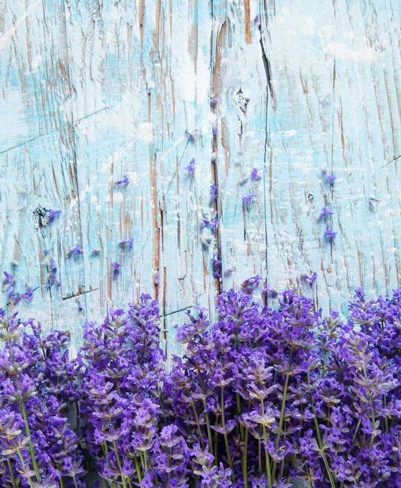 Papier peint  Thème de la nature avec planches