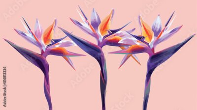 Papier peint  Three strelitzia flowers on lilac background Vector 