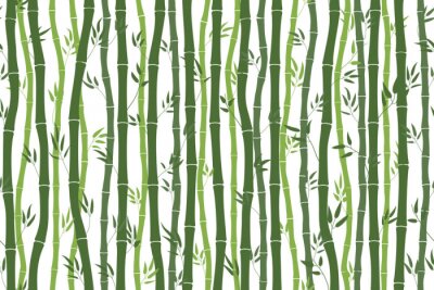 Papier peint  Tiges de bambou avec feuilles