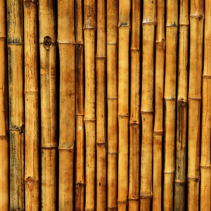 Papier peint  Tiges de bambou brun