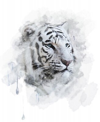 Papier peint  Tigre blanc aquarelle