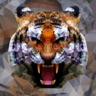 Papier peint  Tigre coloré 3D