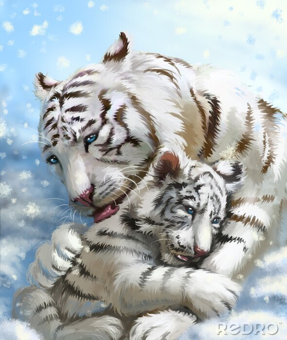 Papier peint  Tigres blancs qui s'embrassent