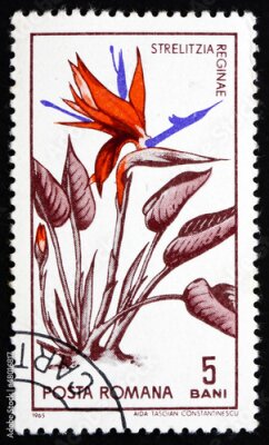 Papier peint  Timbre-poste Roumanie 1965 Bird of Paradise fleur, Strelitzia