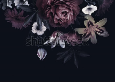 Papier peint  Toile de fond sombre avec des fleurs