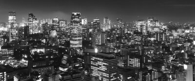 Tokyo au panorama de nuit, b & w