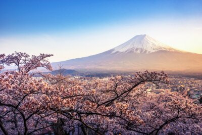 Papier peint  Tokyo et le Mont Fuji le matin