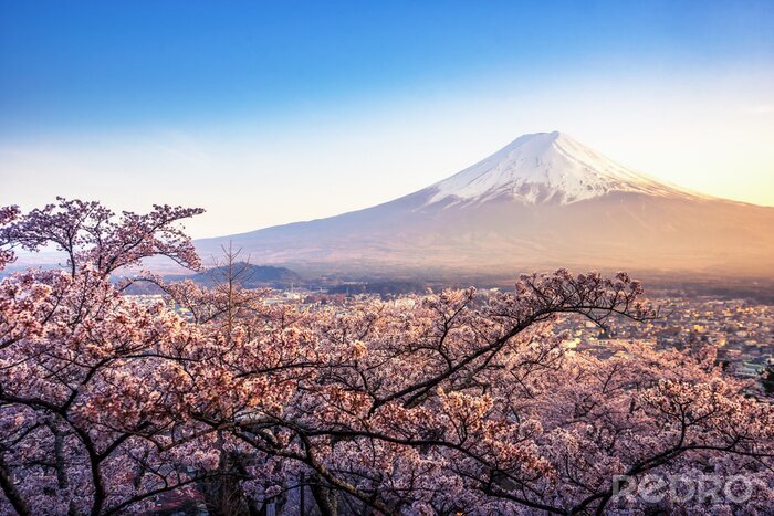 Papier peint  Tokyo et le Mont Fuji le matin