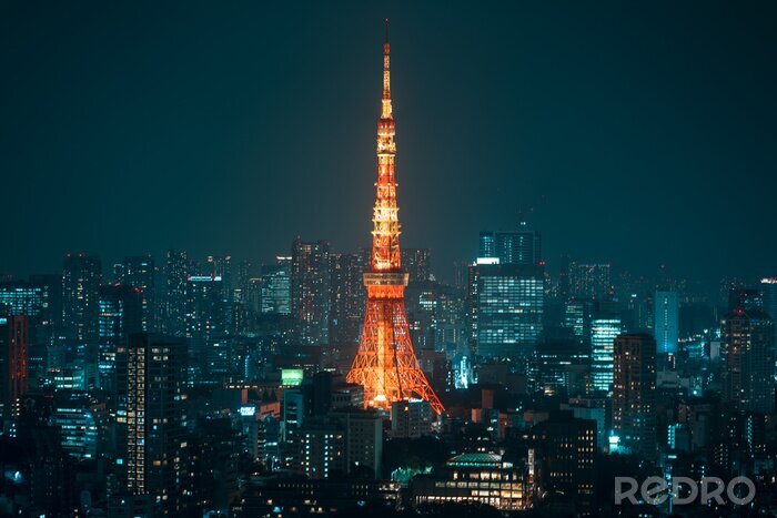 Papier peint  Tokyo la nuit