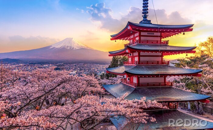 Papier peint  Tokyo le Mont Fuji