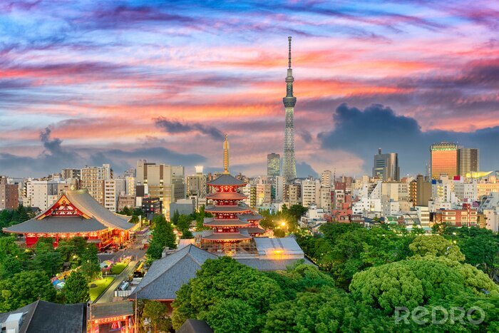 Papier peint  Tokyo sur un panorama