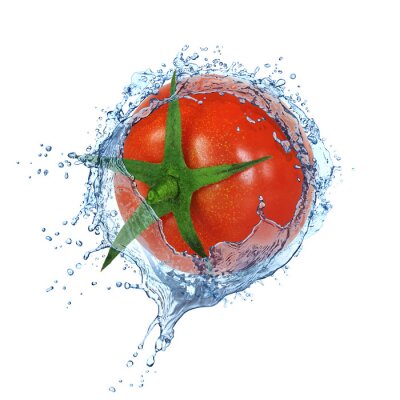 Papier peint  Tomate dans l'eau