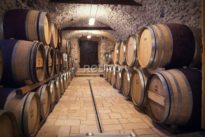 Papier peint  Tonneaux de vin dans une cave