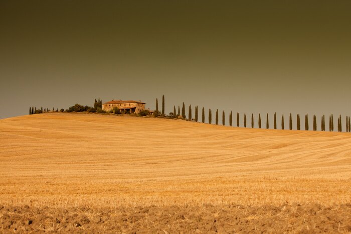 Papier peint  Toscana # 6