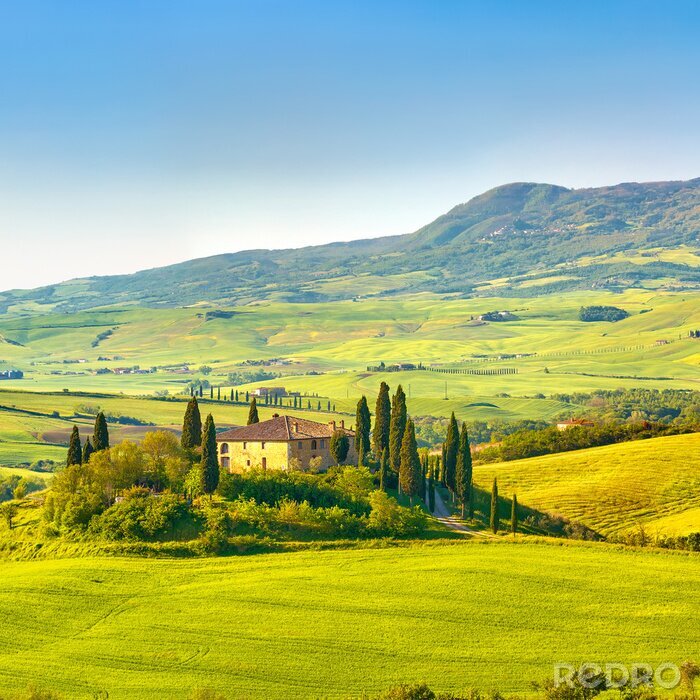 Papier peint  Toscane au printemps