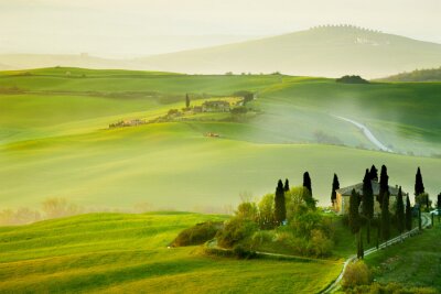 Toscane et champs dans la brume