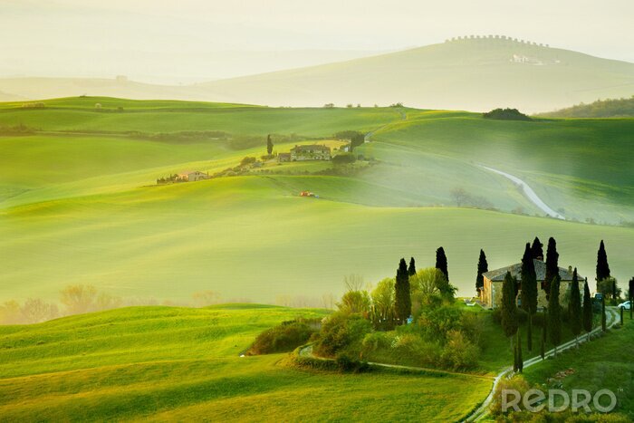 Papier peint  Toscane et champs dans la brume