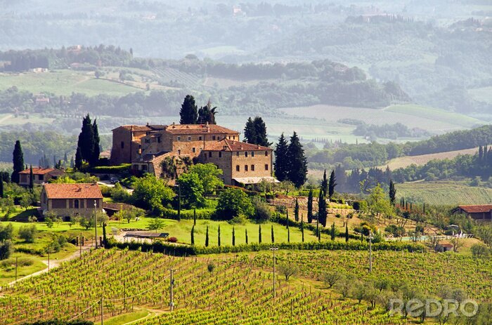 Papier peint  Toscane et maisons au bord des vignobles