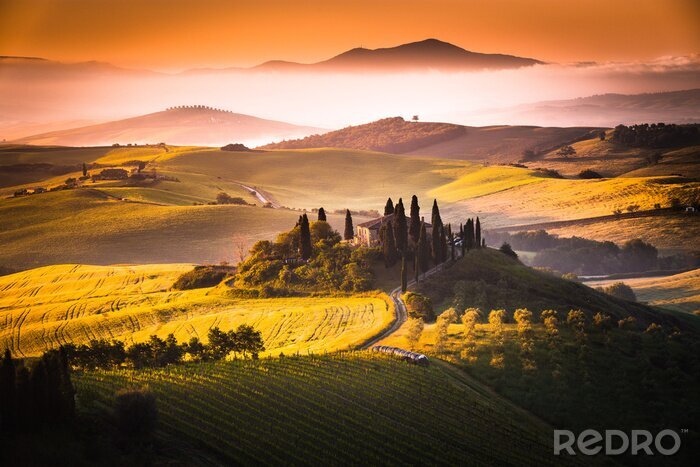 Papier peint  Toscane Matin