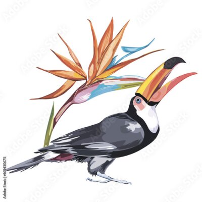Papier peint  Toucan avec des fleurs tropicales strelitzia. Élément pour la conception d'invitations, d'affiches de films, de tissus et d'autres objets. Isolé sur blanc.
