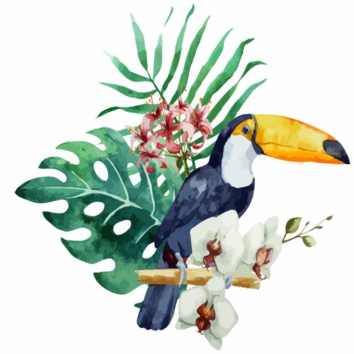 Papier peint  Toucan et feuilles de monstera