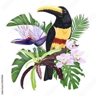 Papier peint  Toucan oiseau feuilles et fleurs exotiques, monstera, palmier, orchidées et strelitzia.