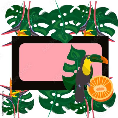 Papier peint  toucan with tropical flower and leave background, card, strelitzia