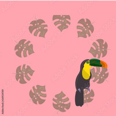 Papier peint  toucan with tropical flower and leave background, card, strelitzia