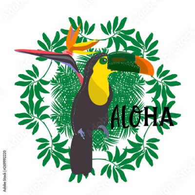 Papier peint  toucan with tropical flower and leave background, card, strelitzia