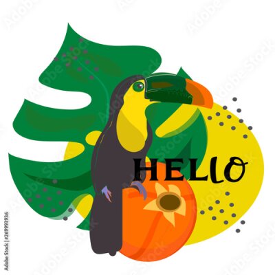 Papier peint  toucan with tropical flower and leave background, card, strelitzia