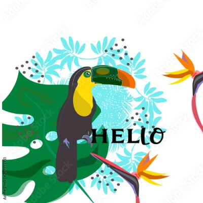 Papier peint  toucan with tropical flower and leave background, card, strelitzia