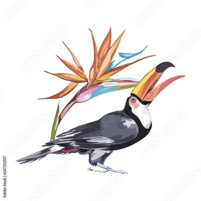 Papier peint  Toucan with tropical flowers strelitzia. Element for design of invitations, movie posters, fabrics and other objects. Isolated on white.