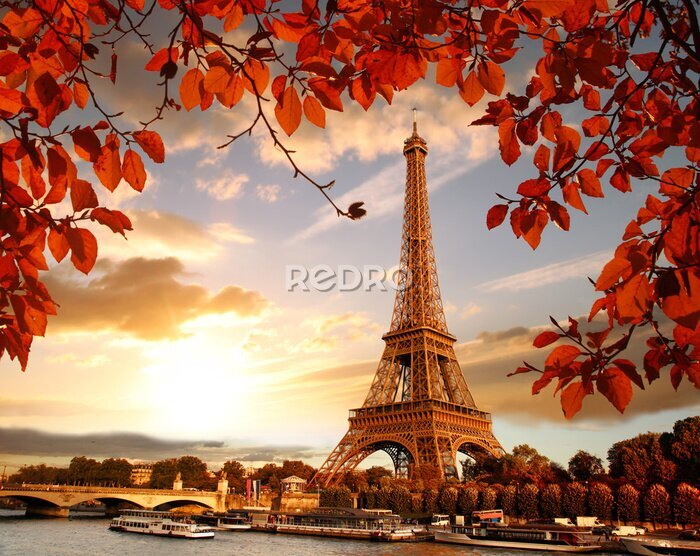 Papier peint  Tour Eiffel, automne, feuilles, paris, france