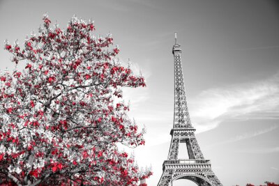 Papier peint  Tour Eiffel et arbre fleuri