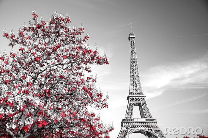 Papier peint  Tour Eiffel et arbre fleuri