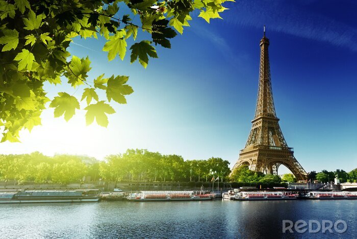 Papier peint  Tour Eiffel sur le fleuve