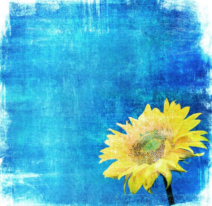 Papier peint  Tournesol vintage sur fond bleu