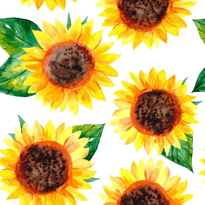 Papier peint  Tournesols peints à l'aquarelle