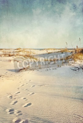 Papier peint  Traces sur les dunes de sable