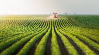 Papier peint  Tracteur sur un champ vert paysage rural