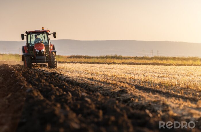 Papier peint  Tractor plowing fields in sunset