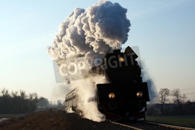 Papier peint  Train noir dans la vapeur