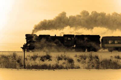 Papier peint  Train noir un jour d'hiver