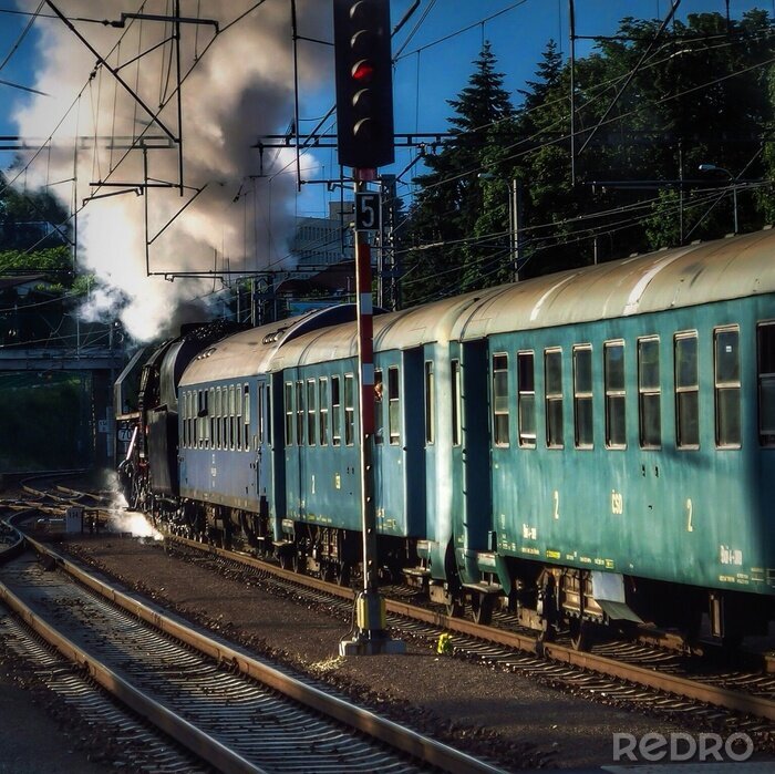Papier peint  Train vert au milieu des arbres