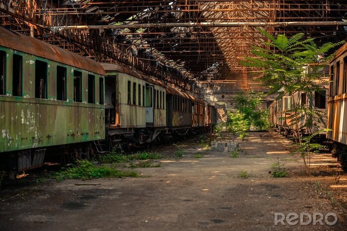 Papier peint  trains de fret en dépôt de vieux train