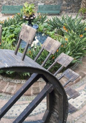 Papier peint  Treadmill, with the bottom strelitzias