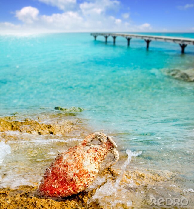 Papier peint  Trésors de la mer sur la plage