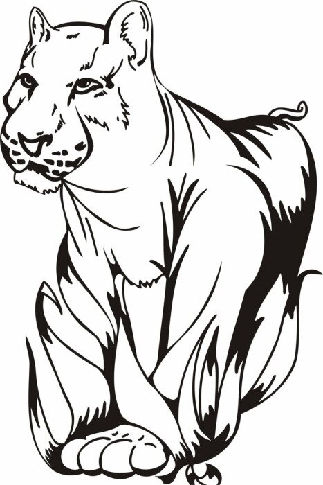 Papier peint  Tribal Predators .