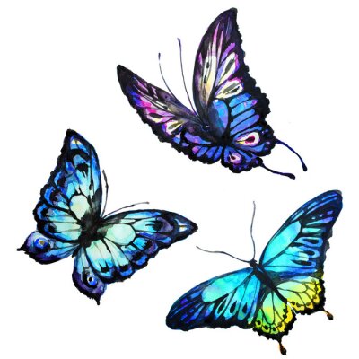 Papier peint  Trois papillons bleus