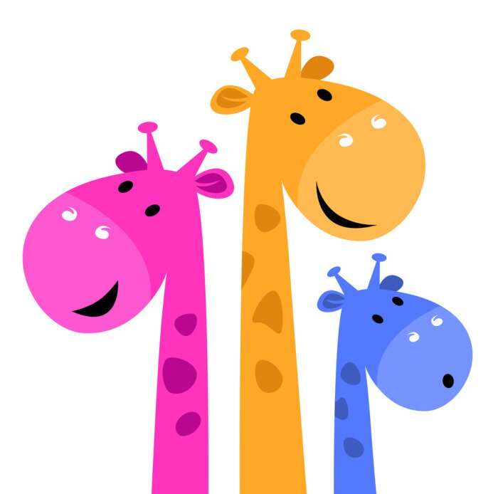 Papier peint  Trois têtes de girafe de différentes couleurs